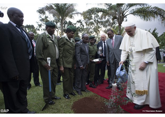 El árbol del Papa en África